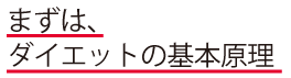 ダイエットの基本原理 で痩せていく？？